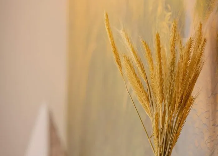 La Des Vagues Villa Chatelaillon-Plage